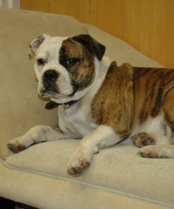 57 e0fdf880 da48 48e4 b066 2e29761de426