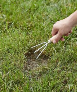 57 e8a23c88 fd52 4464 935f 98b82098e577