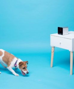 Petcube Interactive Wi-Fi Pet Camera 21 57 e900cc05 6869 4c0b af9b d9381d9f4309