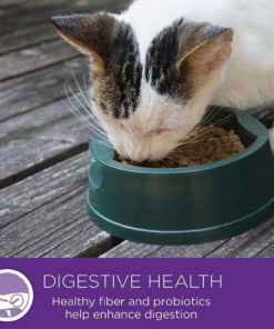 57 e978780d 9b14 4da4 ba26 06a5e0177059