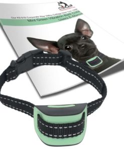 Our K9 Mint Bark Collar. Toy Breed No Bark Collar & Small Dog Anti-Bark Colla.. 10 57 ee336cf7 e80b 4fc0 b475 a25bc7d39786