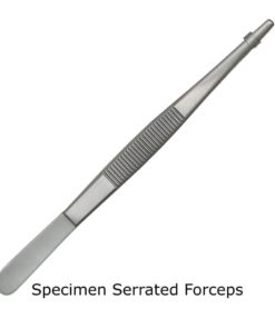 Medical Students Anatomy Biology Dissection Kit With Case 15 57 ef4b560a b625 4570 b284 6660f8f3da9d