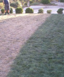 57 ef776642 6490 47c8 8ca0 da75bfedc307