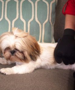 57 efc6317c fd6f 445f af95 cf97cb3a3fa4