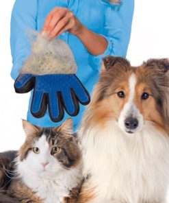 57 f2da583f 56fc 4695 9fa4 24aa3167e52d