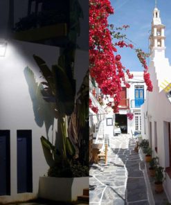 Innoo Tech Solar Motion Sensor Light Solar Powered Water Resistant Wireless S.. 21 57 f7cff146 d63b 416a 8f4b 92c4ac4c13b9 1