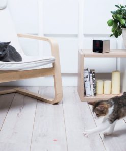 Petcube Interactive Wi-Fi Pet Camera 20 57 f9ac0f9f a091 473b b593 8a7241fac368