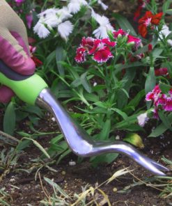 57 fa206f06 ccdd 4063 b25f 6f4c6b27d92d