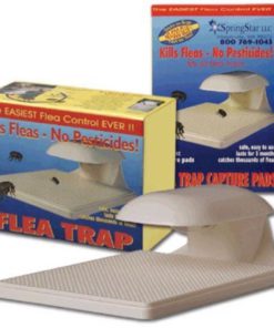 Springstar S102 Flea Trap 1Pack 3 57 fbabe2c6 7de0 4c95 83ff afe3122a99ee