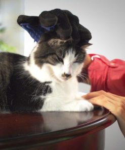 57 fc317c89 f1e4 46d6 a2a2 8f3e659f267a