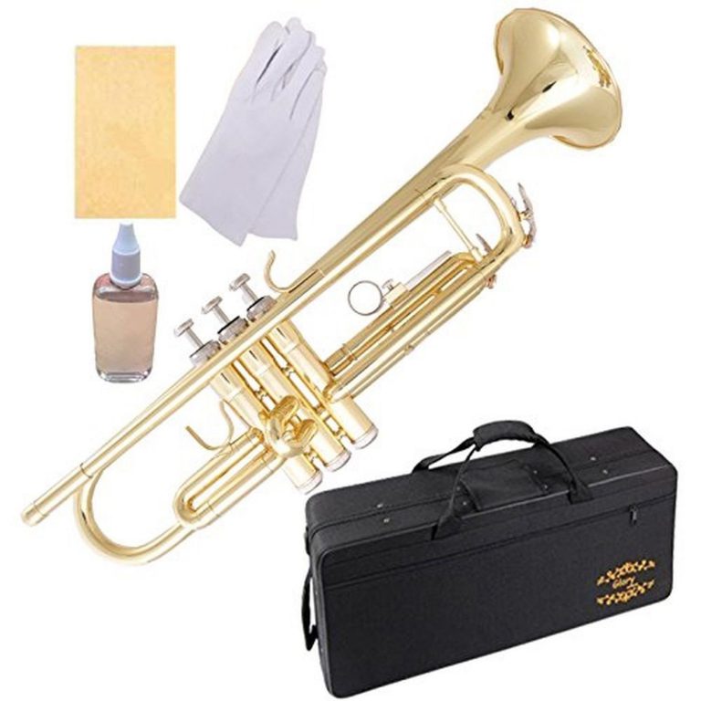 Glory Brass Bb Trumpet With Pro Case +Care Kit Gold No Need Tuningplay Direct..