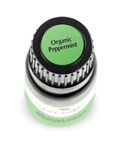 57 ff689ea6 67bf 4c4d 85be 03ee0ba0915a