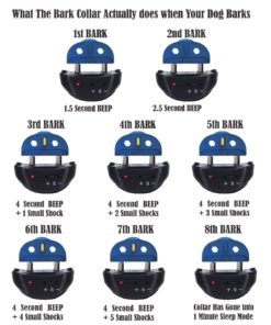 Our K9 Black Dial Bark Collar Uses Sound And Effective Static Shock For Corre.. 24 57 ffa44957 b1ab 4fbf be2c 05fbe413d42b