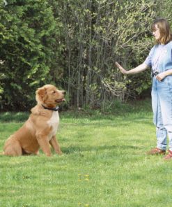 57 ffa563d0 04ac 4d5c 830e deae3bb32171