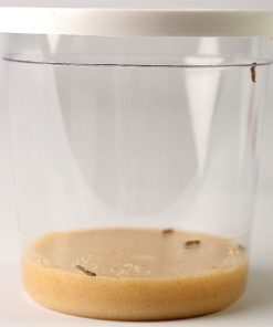 57 ffbb57b4 ceb7 4981 a803 c7a0f3e5dbf3