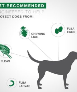 Bayer Advantage II Topical Flea Treatment for Small Dogs, 3-10 lbs 6 doses 3-10 lb 9 614l8ZKkFTL 4