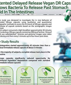 iSerra 250,000 SPU Serrapeptase Enzyme - 90 Maximum Strength Capsules - Up to 12x More Potent Than Other Serrapaptase - Delayed Release Technology - High Potency Non-GMO, Gluten Free, Vegan. 1 Pack 14 614z72B7LQ2L