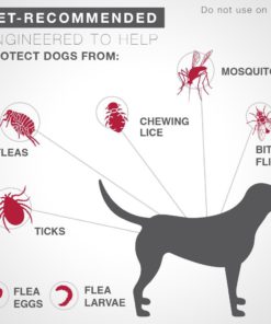 Bayer K9 Advantix II Flea, Tick and Mosquito Prevention for Dogs, 6 Dose 6 doses Over 55 lb 13 61ASMRMiiUL 1