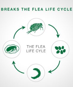 Bayer Advantage II Topical Flea Treatment for Small Dogs, 3-10 lbs 6 doses 3-10 lb 10 61FOHT7nEGL 5