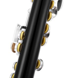 Black Resin Piccolo Key of C With Silver Plated Keys Hard Case Fingering Chart, Cleaning Rod, Cloth, Swab and Gloves 11 61JzNMLtxZL