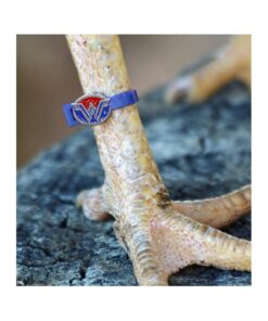 22 Chicken Charm Poultry Leg Bands - Includes Americas Favorite Super Hero's 11 61LN12Bk2BZtL