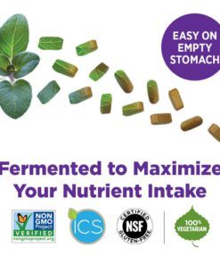 New Chapter Every Man's One Daily, Men's Multivitamin Fermented with Probiotics - 72 Tablets Bundle with a Lumintrail Pill Case 14 61LcMuClEBL