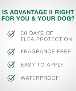 Bayer Advantage II Topical Flea Treatment for Small Dogs, 3-10 lbs 6 doses 3-10 lb 12 61OZwKn6n1L 4