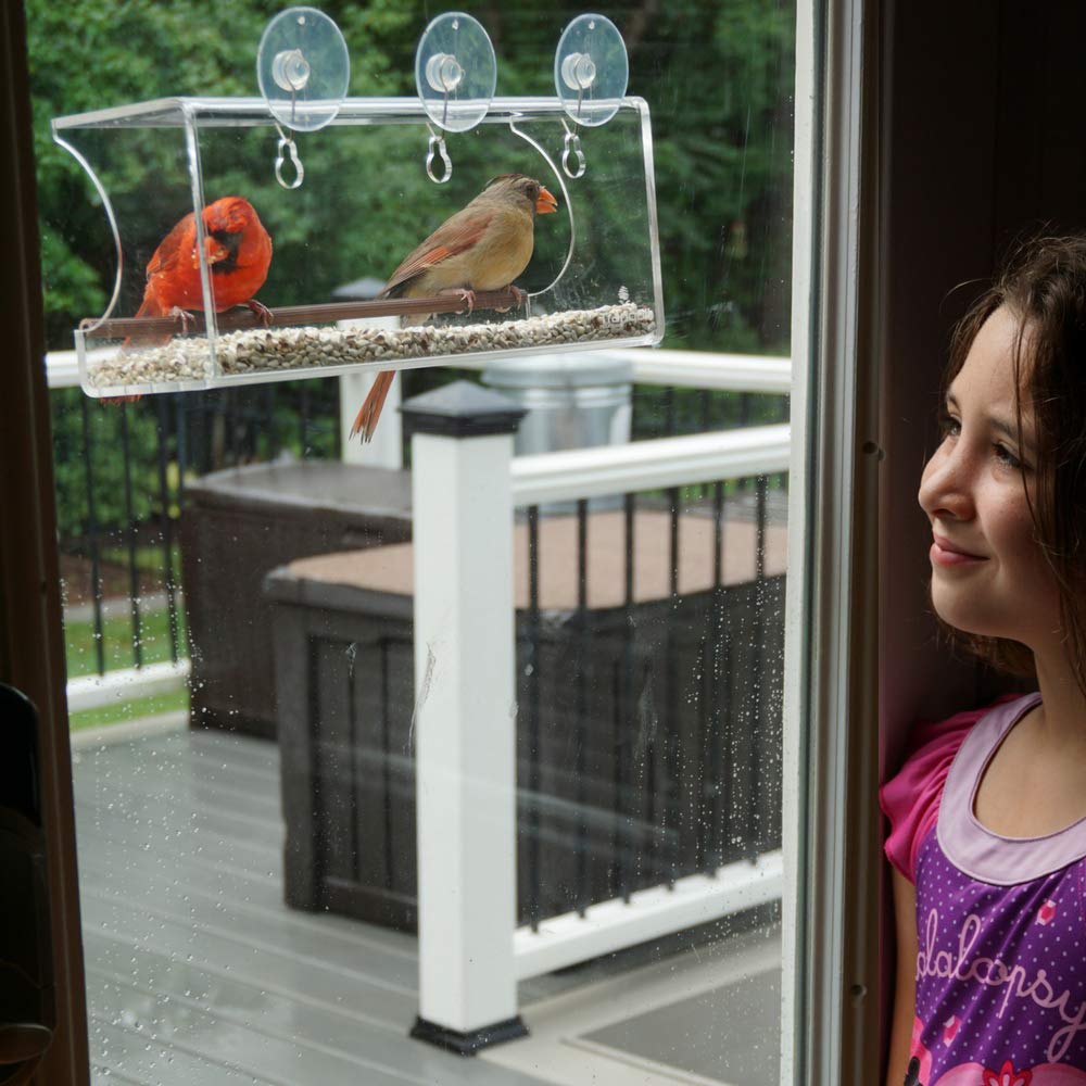 Large Window Bird Feeder: See Through Clear Acrylic Design Provides a Unique In House Birding Experience, 3 Heavy Duty Suction Cups with Hooks Mount to Glass for an Effortless Install, Best Gift Idea! - $26.95