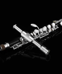 Black Resin Piccolo Key of C With Silver Plated Keys Hard Case Fingering Chart, Cleaning Rod, Cloth, Swab and Gloves 12 61bfOuSnY9L