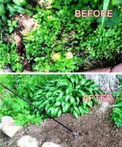 WeedNtill WT-1 Weeding and Tilling Tool 10 61s fdYqU2BL