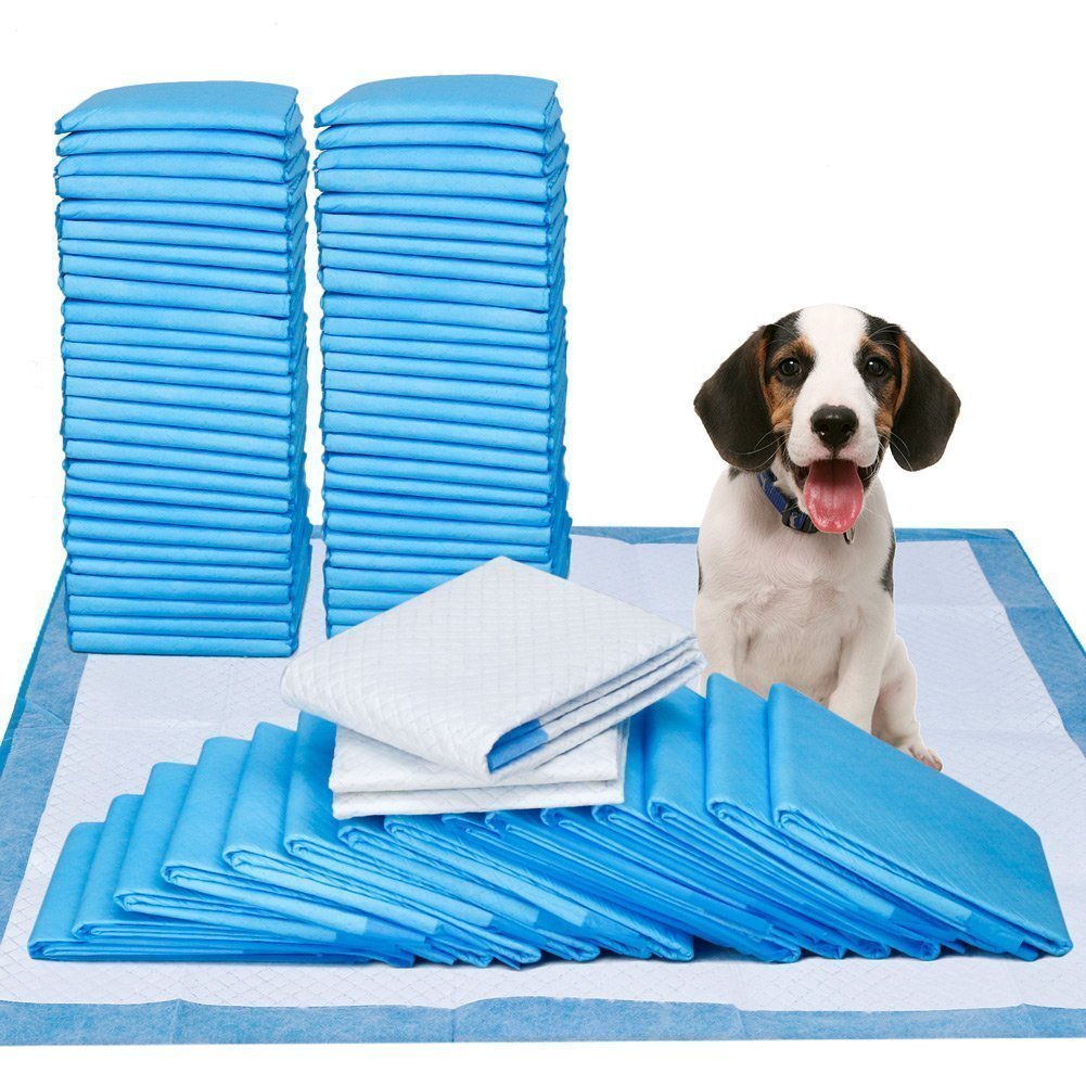 thumbnail interactive-video image 1 of ASPCA Scented Puppy Pads - 100 Count Large 22x22 Inch Absorbent Dog Potty Training Pads 1 of 2