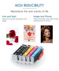 Allwork PGI250XL CLI251XL Compatible Ink Cartridges Replacement for Canon PGI-250XL CLI-251XL Work with Canon Pixma MX922 iX6820 8720 7220 MG7520 6620 5520 6320 7120 5420 722 5620 5422 5522 6420 5Pack 11 719f8q894OL