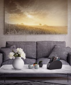 Londo Remote Controller Holder Organizer Store DVD Blu-ray TV Roku or Apple TV Remotes - Italian Genuine Leather with Suede Lining Living or Bedroom Storage Black 11 71BvhO4GweL