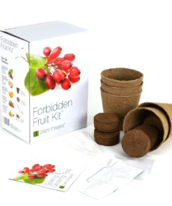 Alternative view of Plant Theatre Forbidden Fruit Kit Gift Box - 5 Delectable Fruits to Grow to Start Growing in one Box! - Great Grow Kit Gift