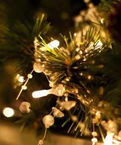 200 LED Indoor String Light with Remote and Timer on 69ft Clear String (8 Modes, Dimmable, Low Voltage Plug, Warm White) 200led 10 71MVOEgFn7L