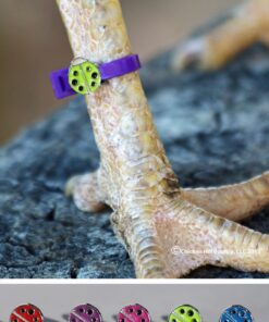 22 Chicken Charm Poultry Leg Bands - Includes Americas Favorite Super Hero's 9 71QRqdH2BwhL