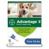 Bayer Advantage II Flea and Lice Treatment for X-Large Dogs, Over 55 lbs 6 doses Over 55 lb 16 71XTe7rk5jL