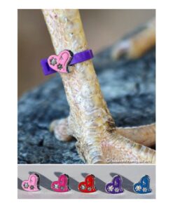 22 Chicken Charm Poultry Leg Bands - Includes Americas Favorite Super Hero's 8 71cRFE4zTWL