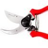 Carbon Steel Bypass Garden Shears - Ultra Sharp Blades with Safety Lock & Comfort Grip - Hand Trimmer with Sap Groove Easily Cuts Through Branches & Stems for Indoor & Outdoor Use 1 Pack 17 71ftHaNEvBL
