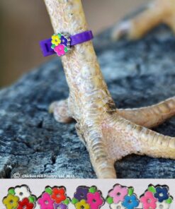Alternative view of 22 Chicken Charm Poultry Leg Bands - Includes Americas Favorite Super Hero's