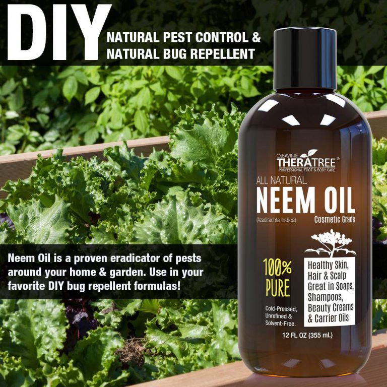 Neem Oil Organic & Wild Crafted Pure Cold Pressed Unrefined Cosmetic Grade 12 oz for Skincare, Hair Care, and Natural Bug Repellent by Oleavine TheraTree - $20.95