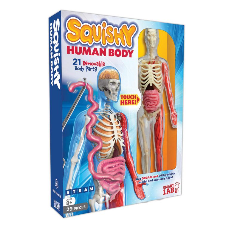 SmartLab Toys Squishy Human Body Multicolor - $23.95