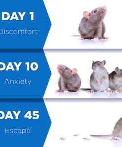 Ultrasonic Pest Repeller repellent indoor pest control devices get rid of rats mice ants roaches mosquitoes insects flea spiders other 10 81427eOsk0L