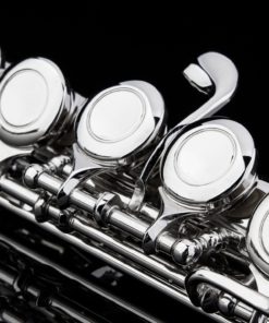 Glory Closed Hole C Flute With Case, Tuning Rod and Cloth,Joint Grease and Gloves Nickel Siver-More Colors available,Click to see more colors 15 815zgoNYQXL