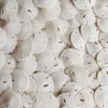 Tumbler Home Small Natural White Sand Dollars 50 pcs - Wedding - Sea Shell Craft 1 1/4" to 1 1/2" - Hand Picked and Professionally Packed 67 819RvStjTuL