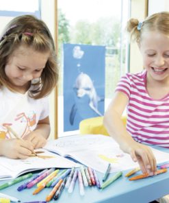 Stabilo Power Wallet Coloring Pens , Set of 30 , Multicolored 1 Pack 10 81AfV1affqL