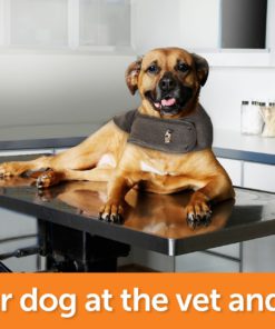 ThunderShirt Classic Dog Anxiety Jacket Large (41-64 lbs) Heather Grey 18 81DoMYVvjjL