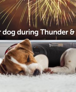 ThunderShirt Classic Dog Anxiety Jacket Large (41-64 lbs) Heather Grey 17 81EGQRIVIzL