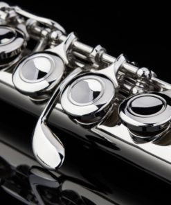 Glory Closed Hole C Flute With Case, Tuning Rod and Cloth,Joint Grease and Gloves Nickel Siver-More Colors available,Click to see more colors 13 81HySS7m3yL