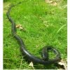 Yoogeer Rubber Lifelike Snakes Scary Gag Gift Incredible Creatures Chain Snakes 47" Rain Forest Snake Toys Wild Life Snakes 49 81I6d2A5mFL